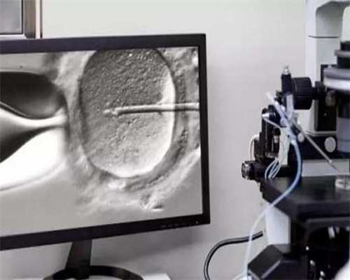 山东私立生殖医院试管取卵后几天通知胚胎配成结果？