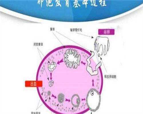 代怀包男孩价格_湖南高龄供卵多少钱,长沙试管私立医院有哪些！长沙试管私立