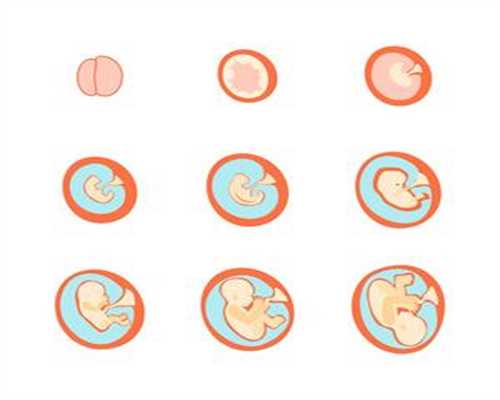 孕妇能吃柿子吗孕妇可以吃柿子吗：镇江代孕方