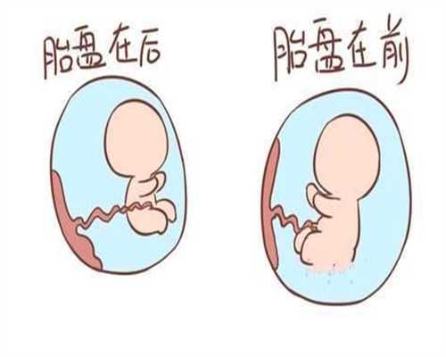 助孕三个月胎儿图（B超图）：福婴国际助孕地址