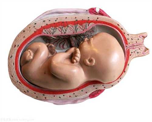代怀孕26周，四维确认男宝一枚，给大家分享症状