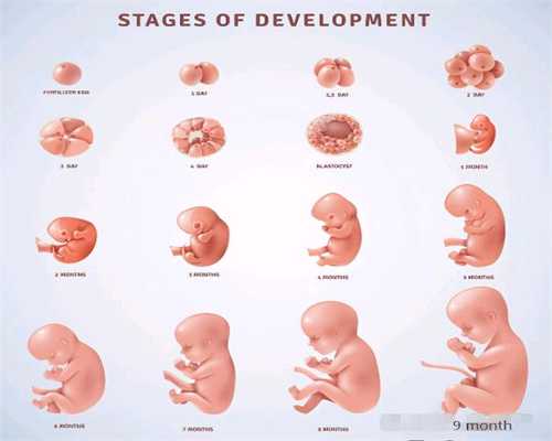 代怀孕十个月胎儿发育过程图