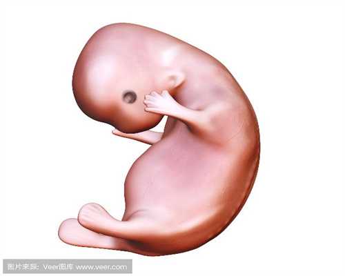 代怀孕24周胎动情况：中国的代孕