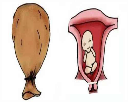 寻找从助孕到宝宝出生在妈妈肚子里的图片：郑