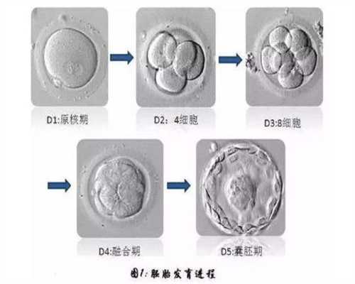 中华代孕网：精子少，可以代孕吗..最详细代孕产