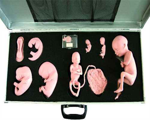 女性不孕不育报告单：女人有没有打过胎、流产