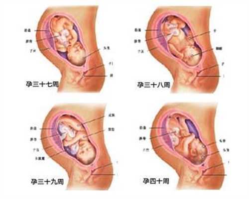 试管婴儿危险吗：女性切除输卵管后，还能怀孕
