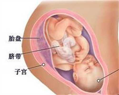 试管婴儿移植注意：怀孕可以吃腰果吗看完以后