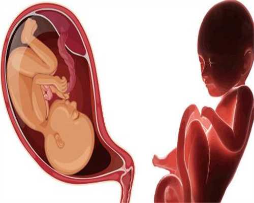 海淀妇幼保健院怀孕产检流程攻略分享