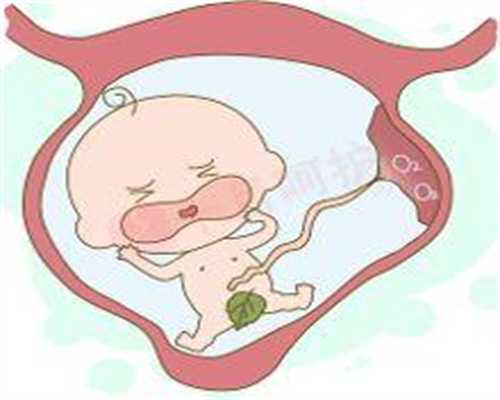 28周以上妊娠晚期孕妇要严格规律产检早孕期中孕