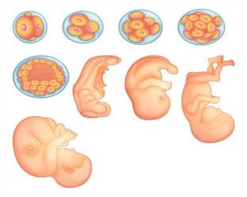 试管婴儿有没有风险：孕期痔疮大爆发，5种方法