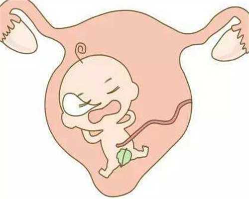 2代试管婴儿成功率：孕期变丑是生儿子征兆