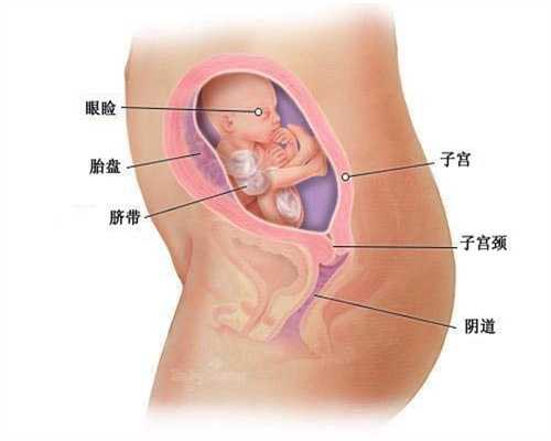 重庆神州中泰,孕期玩手机胎儿不介意，但有一个