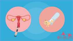 国内正规代孕机构_夏季孕妈拉肚子，怎么做才能不伤胎宝宝？
